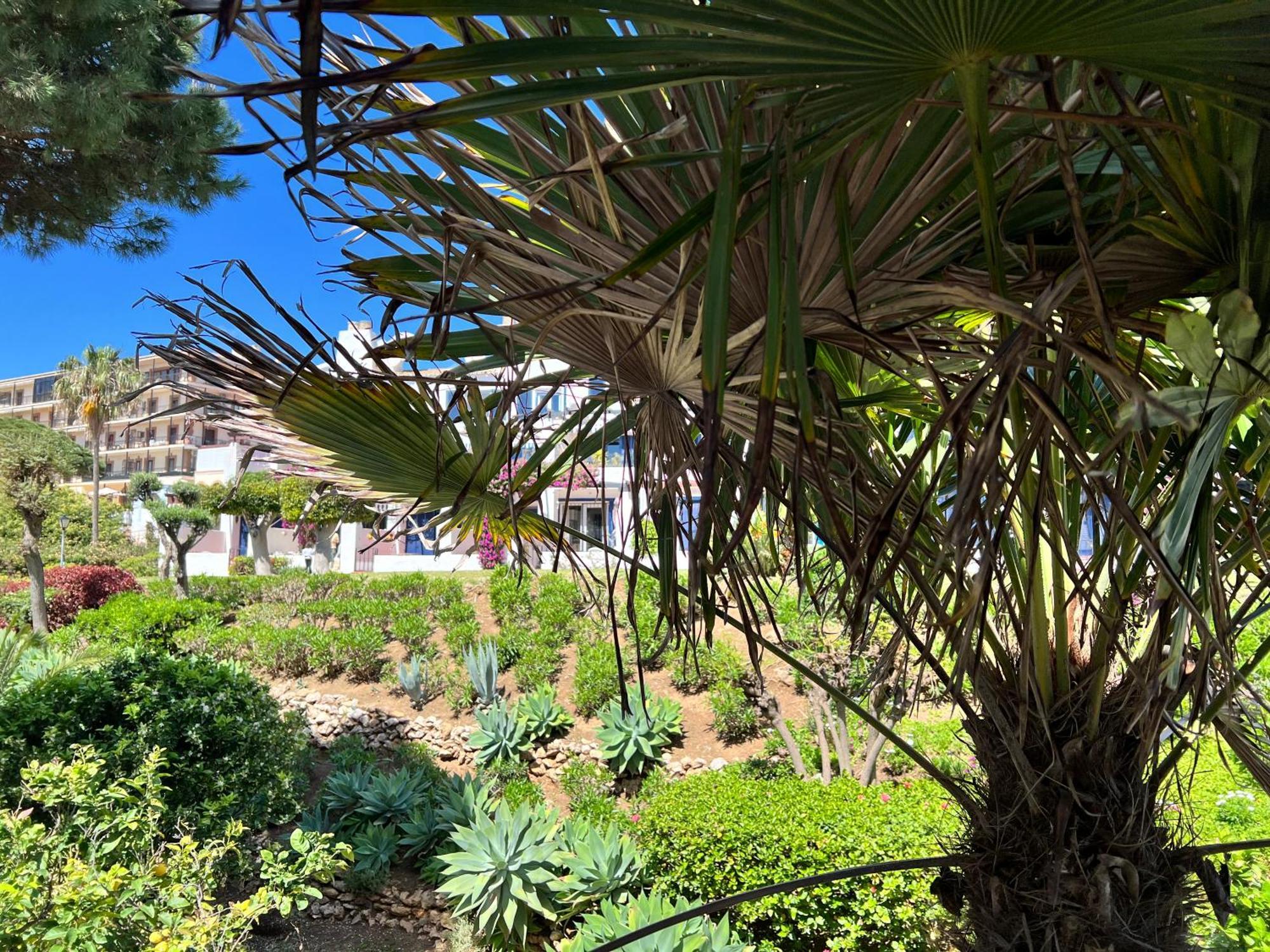 Newly Renovated 2 Bedroom Beachfront House Sitio de Calahonda 외부 사진